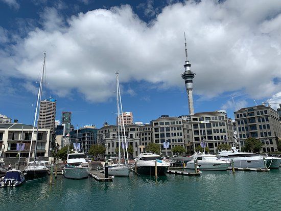 Viaduct Harbour